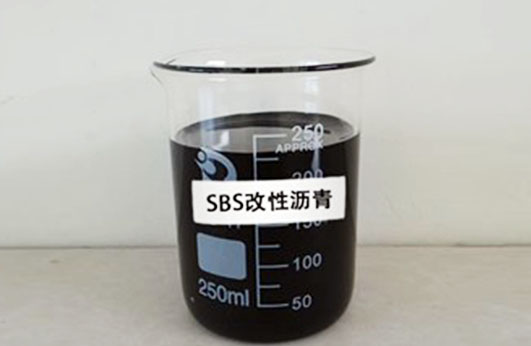 SBS大香蕉免费在线观看