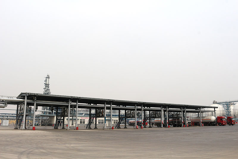 大香蕉免费在线观看