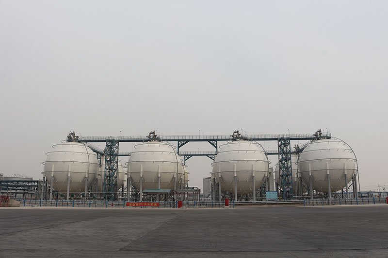 SBS大香蕉免费在线观看